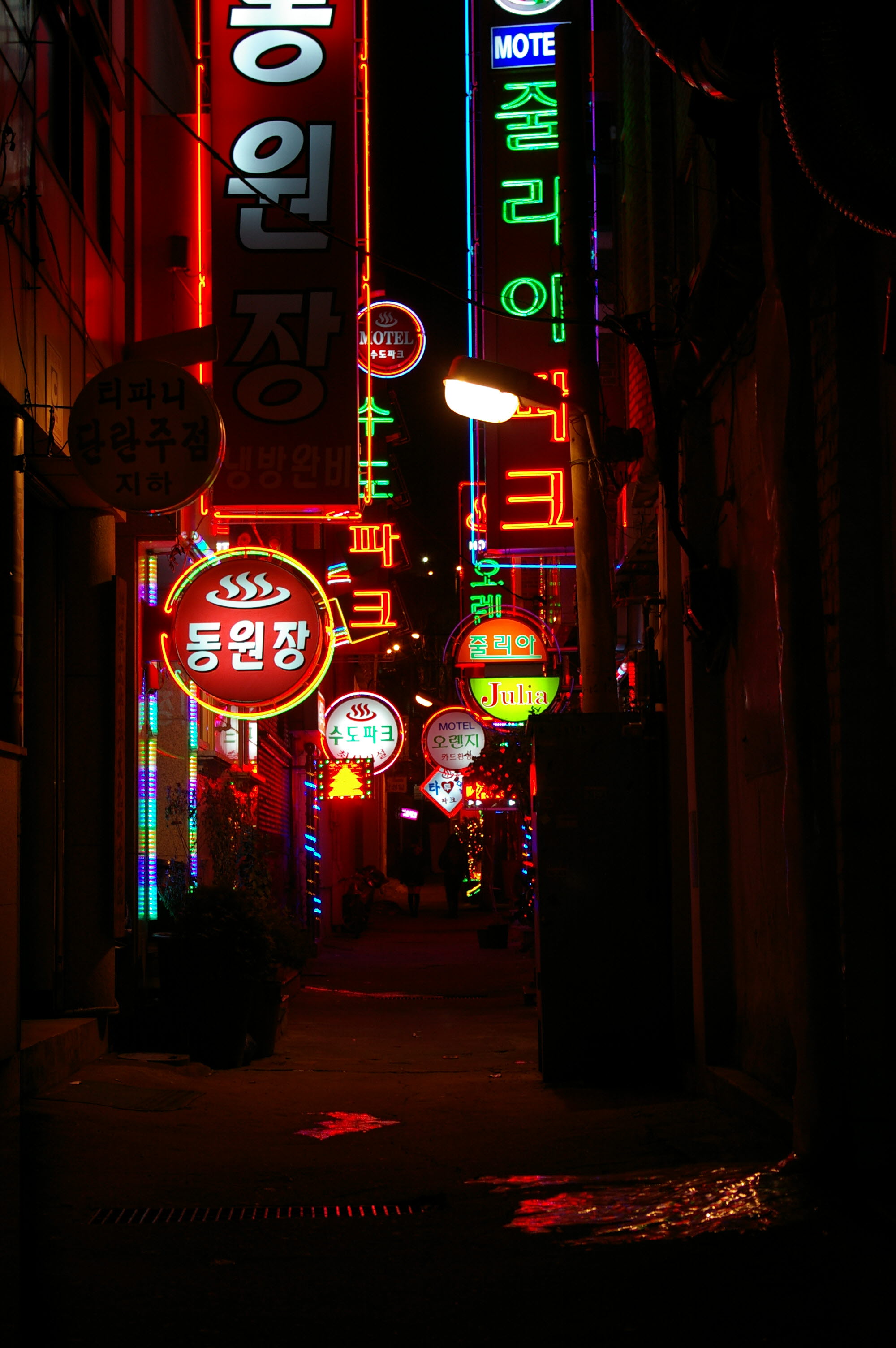IMGP0493.JPG