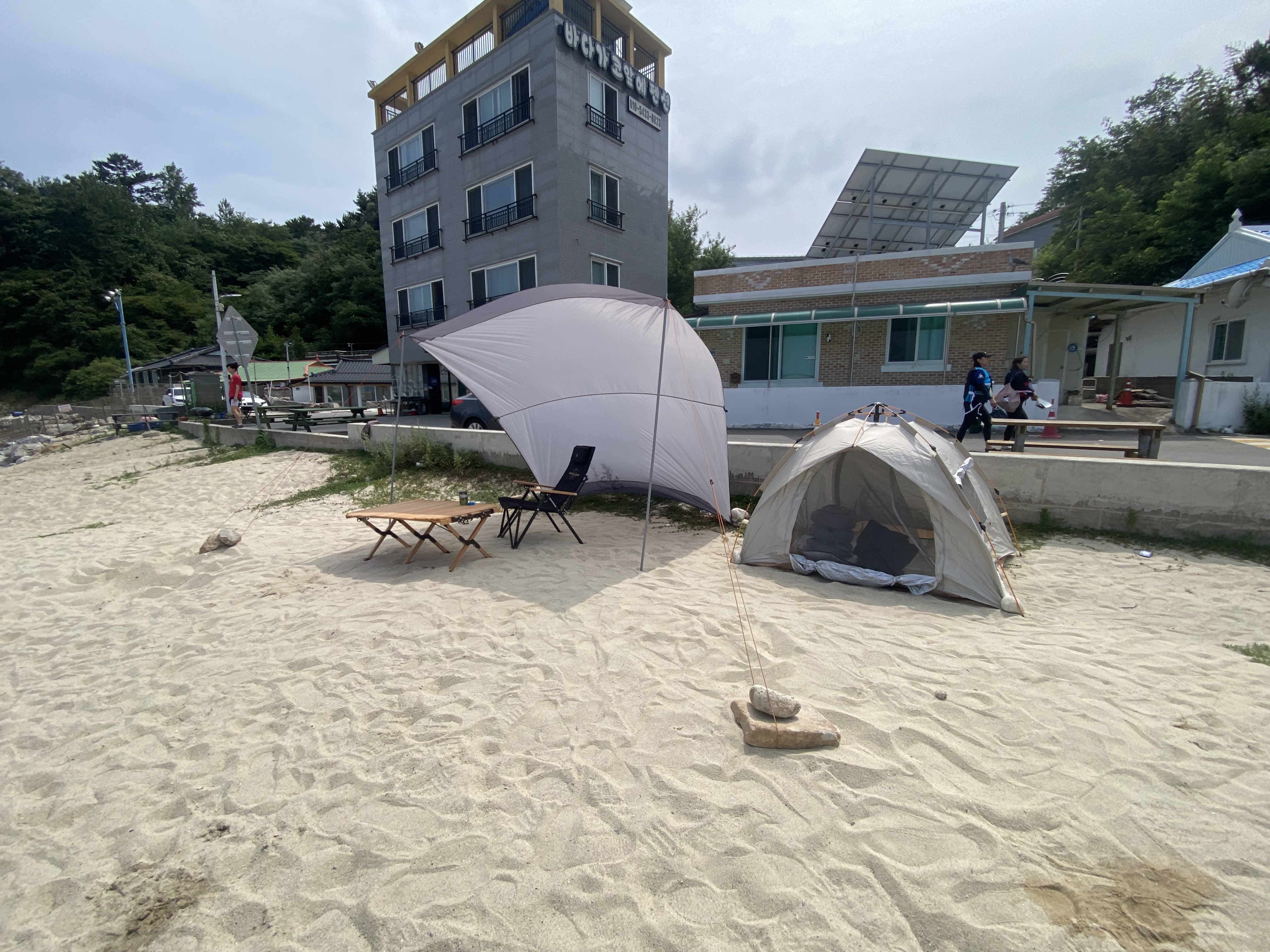 IMG_1951.jpeg
